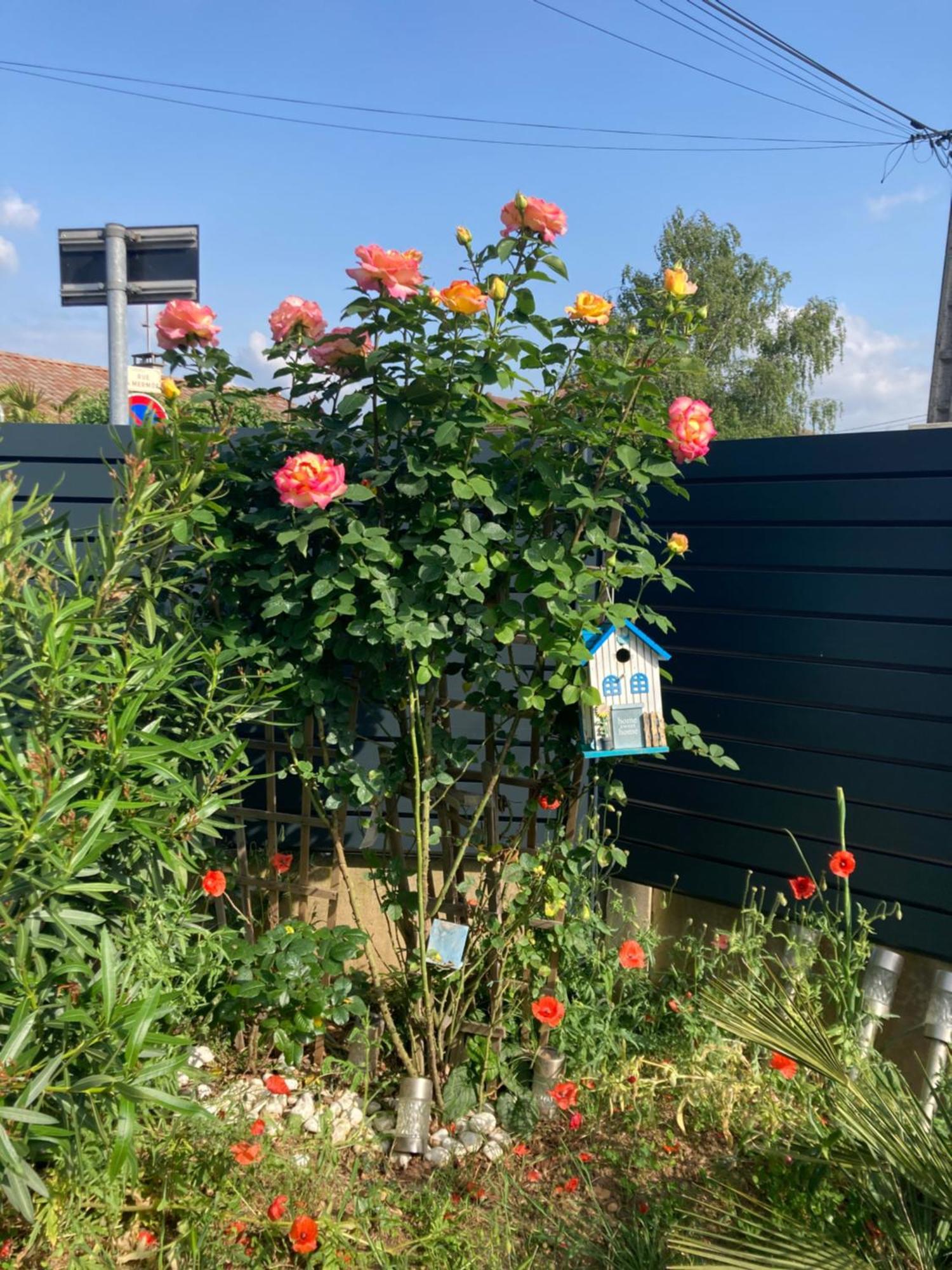 Au Calme Dans Maison En Rez De Jardin A 2,2 Kms Du Groupama Stadium Et Salle Ldlc Arena Meyzieu Exteriér fotografie